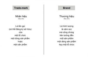 Phân biệt nhãn hiệu và thương hiệu