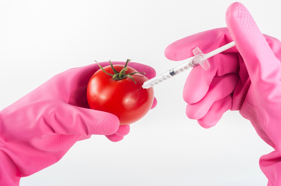 Công bố thực phẩm biến đổi gen