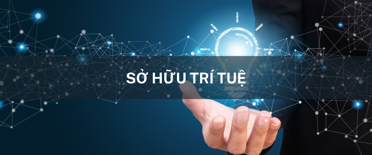 Quy Trình Xin Giấy Phép Quyền Sở Hữu Trí Tuệ: Những Điều Cần Lưu Ý