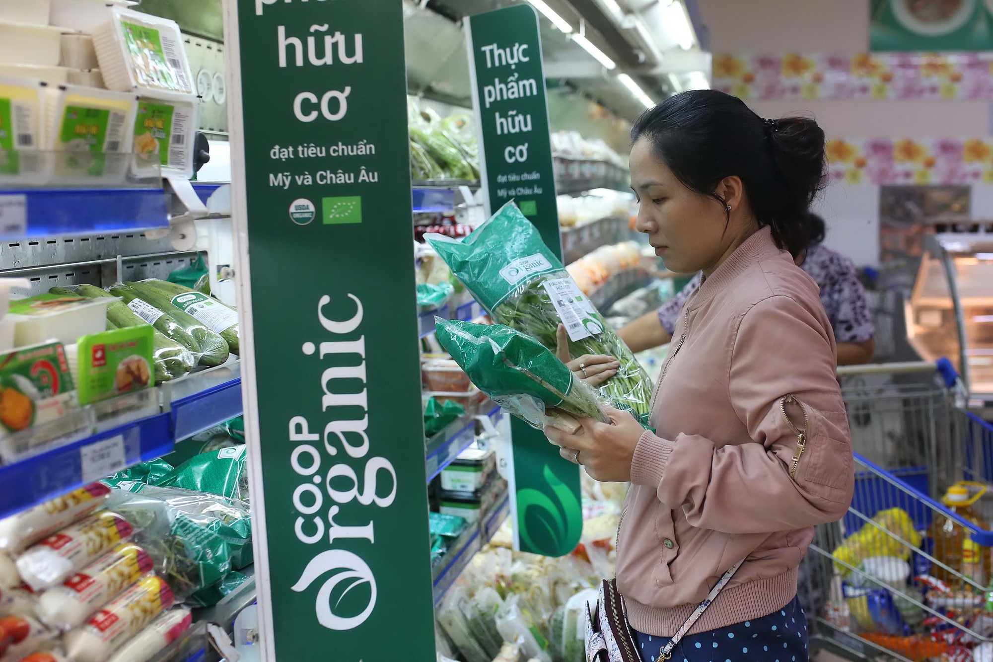 Quy Trình Công Bố Sản Phẩm Rau Hữu Cơ Theo Quy Định Mới