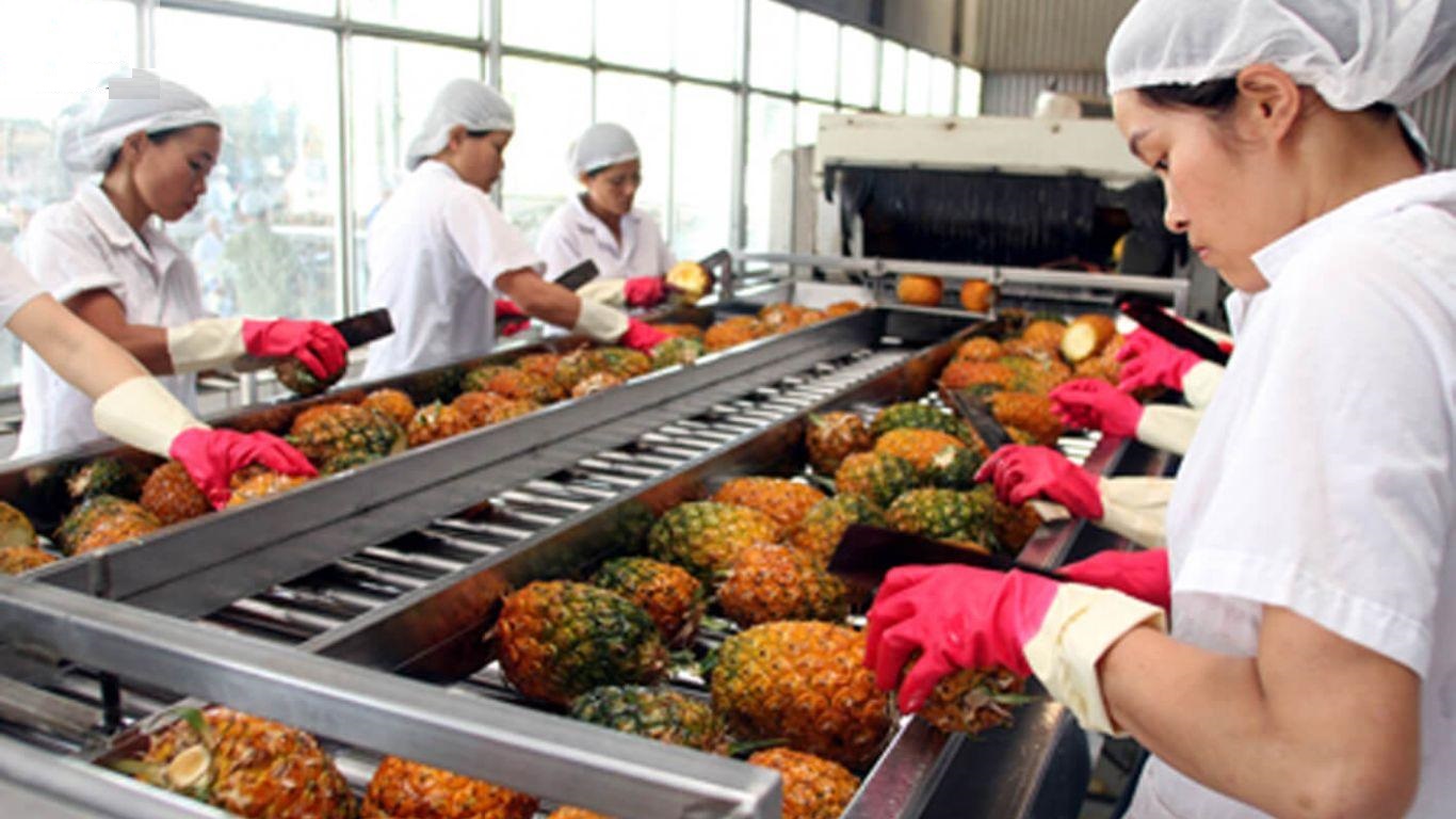 Những Điều Cần Biết Khi Thành Lập Công Ty Xuất Khẩu Nông Sản